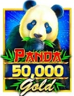 สูตรเด็ดเล่น สล็อตหน้าหมี เพื่อกำไรสูงสุด